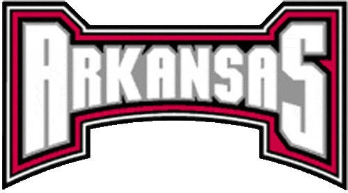 Arkansas Razorbacks 2001-2008 Wordmark Logo v6 diy fabric transfer